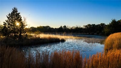 1210A County Road 232, Collinsville TX 76233 - Photo 4