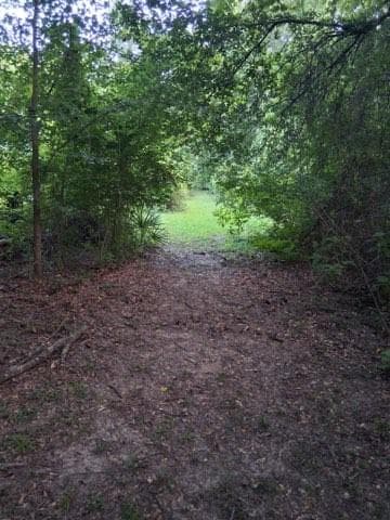 2965 County Road 1439, Sulphur Springs TX 75482 - Photo 4