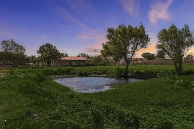 10138 Terrace Road, Sanger TX 76266 - Photo 4