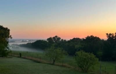 163 Hcr 3255, Mount Calm TX 76673 - Photo 5
