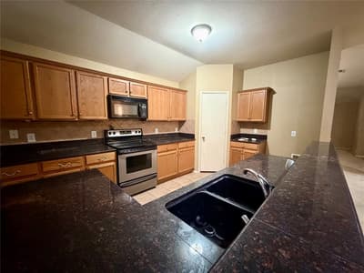 4005 Shiraz Drive, Argyle TX 76226 - Photo 3