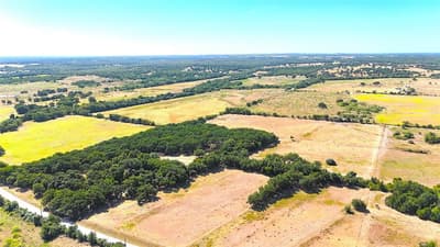 1377 E Gibtown Road, Poolville TX 76487 - Photo 4