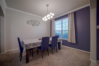 9220 Remington Drive, Aubrey TX 76227 - Photo 3