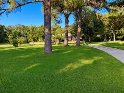2901 Montecito Drive, Denton TX 76205 - Photo 2