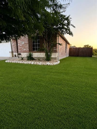 125 Abelia Drive, Fate TX 75189 - Photo 3