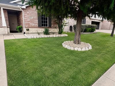 125 Abelia Drive, Fate TX 75189 - Photo 4