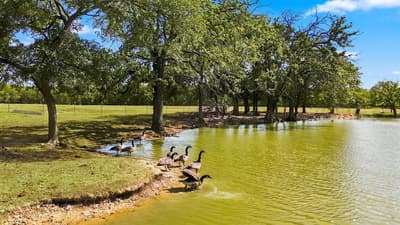 261 Hunter Court, Bartonville TX 76226 - Photo 5