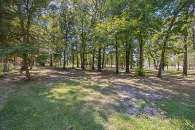 222 Rs County Road 4269, Emory TX 75440 - Photo 5
