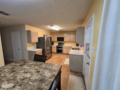 3813 Summer Hill Drive, Balch Springs TX 75180 - Photo 5