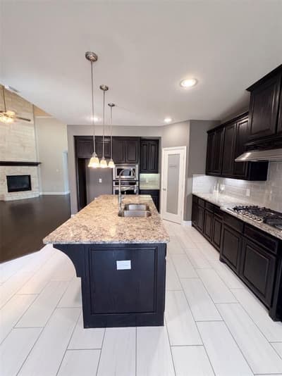 9920 Pikes Peak Place, Little Elm TX 75068 - Photo 2
