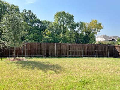 3513 Red Cardinal Court, McKinney TX 75071 - Photo 3