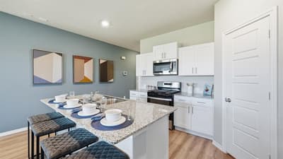 16512 MADRONE Lane, Justin TX 76247 - Photo 4