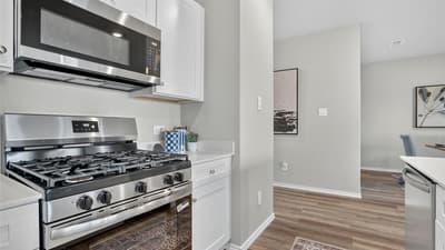 16761 HUDSON PRAIRIE Way, Justin TX 76247 - Photo 4