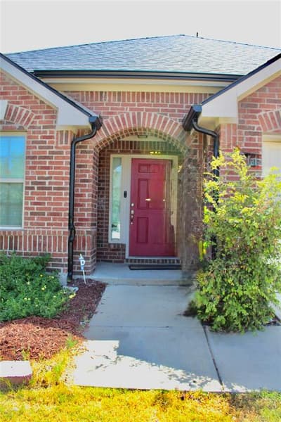 809 Kinghaven Drive, Little Elm TX 75068 - Photo 3