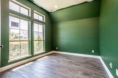 340 Moonvine Drive, Little Elm TX 75068 - Photo 4