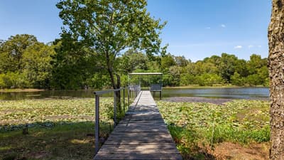 8266 Fm 17, Grand Saline TX 75140 - Photo 3