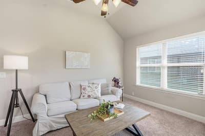 4209 Carnation Lane, Mansfield TX 76063 - Photo 5