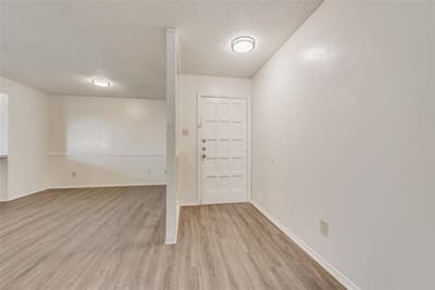 217 Silver Creek Drive, Duncanville TX 75137 - Photo 4