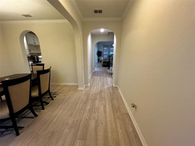 12873 Spring Hill Drive, Frisco TX 75035 - Photo 4