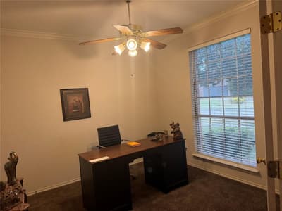 311 Holly Leaf Trail, Forney TX 75126 - Photo 3