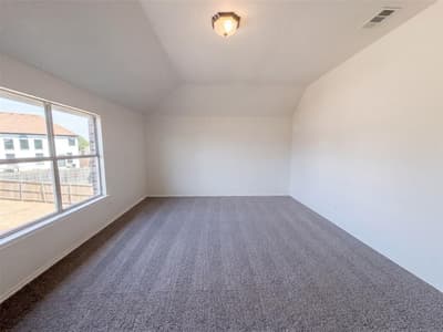 1402 Stone Oak Court, Cedar Hill TX 75104 - Photo 4