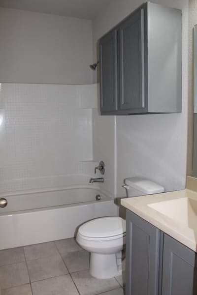 3705 Fossil Tree Lane, Fort Worth TX 76244 - Photo 3