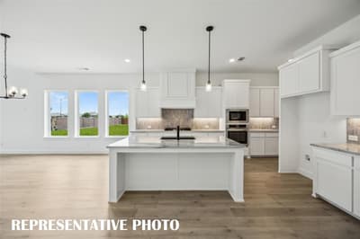 15663 Amber Street, Frisco TX 75033 - Photo 4