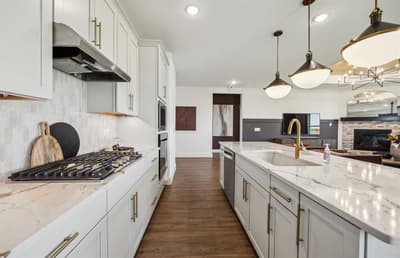 1628 Cydney Lane, Anna TX 75409 - Photo 4