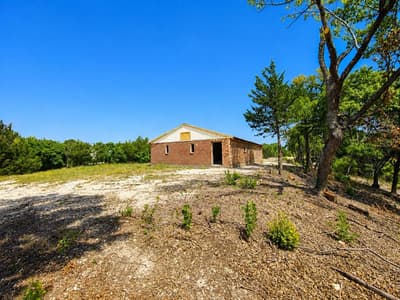 1264 RedMoore Road, Whitewright TX 75491 - Photo 5