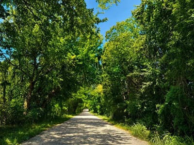 1264 RedMoore Road, Whitewright TX 75491 - Photo 4