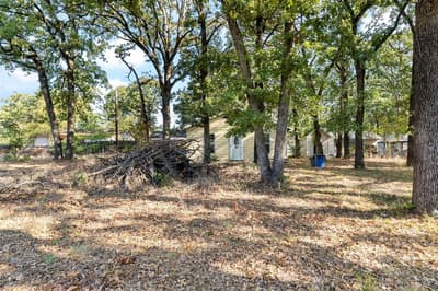134 Wildgrove Drive, Gun Barrel City TX 75156 - Photo 4