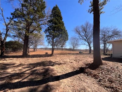 454 Luther Lane, Gun Barrel City TX 75156 - Photo 2
