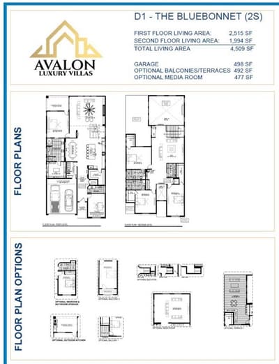 8112 Suhana Drive, Irving TX 75063 - Photo 3
