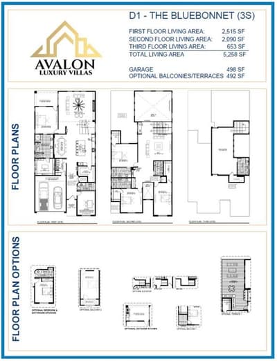 8108 Suhana Drive, Irving TX 75063 - Photo 3
