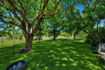 2287 Fm 549, Rockwall TX 75032 - Photo 4