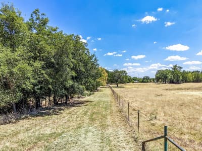 509 E Almante Avenue, De Leon TX 76444 - Photo 5