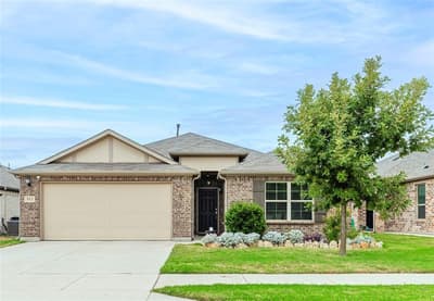 112 Plumed Thistle Drive, Fort Worth TX 76131 - Photo 3