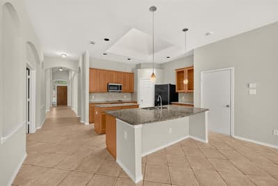 9761 Snowberry Drive, Frisco TX 75035 - Photo 3