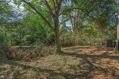407 Joel Street, Minden LA 71055 - Photo 3