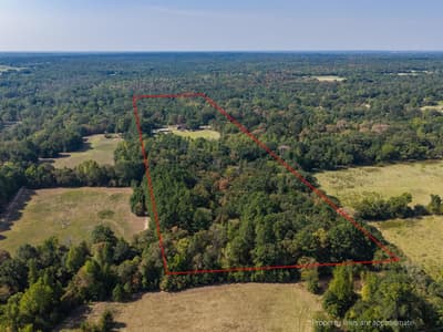 4475 County Road 3800, Athens TX 75752 - Photo 3