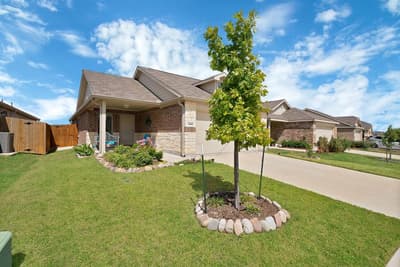 1448 Dovekie Drive, Forney TX 75126 - Photo 3