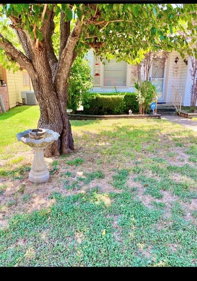 113 Moon Street, Cleburne TX 76033 - Photo 2