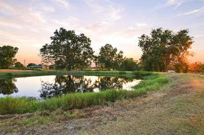 10381 Fm 512, Wolfe City TX 75496 - Photo 5