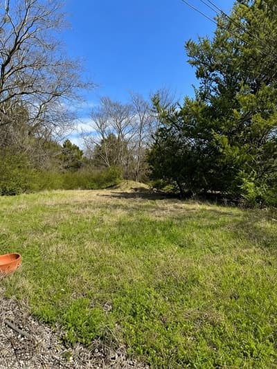 3990 Luella Road, Sherman TX 75090 - Photo 3