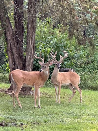 700 Lost Hunters, China Spring TX 76633 - Photo 2