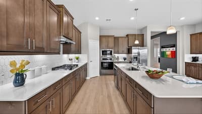 16820 KING SALMON Drive, Justin TX 76247 - Photo 5