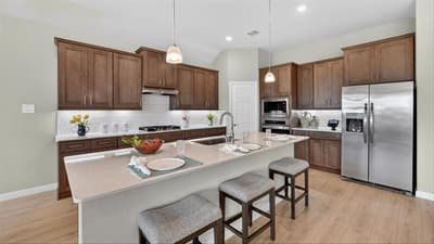 16820 KING SALMON Drive, Justin TX 76247 - Photo 4