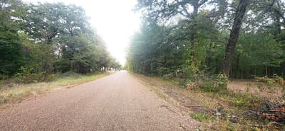 112 Charlie's Place Road, Trinidad TX 75163 - Photo 3