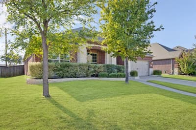 14903 San Paulo Street, Frisco TX 75035 - Photo 3