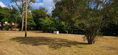 2016 Gavin Road, Tool TX 75143 - Photo 5